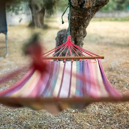 Seaelia Tatil Evi *